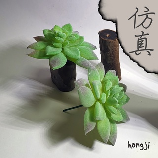 多肉 模擬多肉 微景觀 P61 假多肉植物 辦公室小物 療癒紓壓生日禮物拍照道具居家裝飾咖啡屋商店擺飾迷你木頭底座盆栽