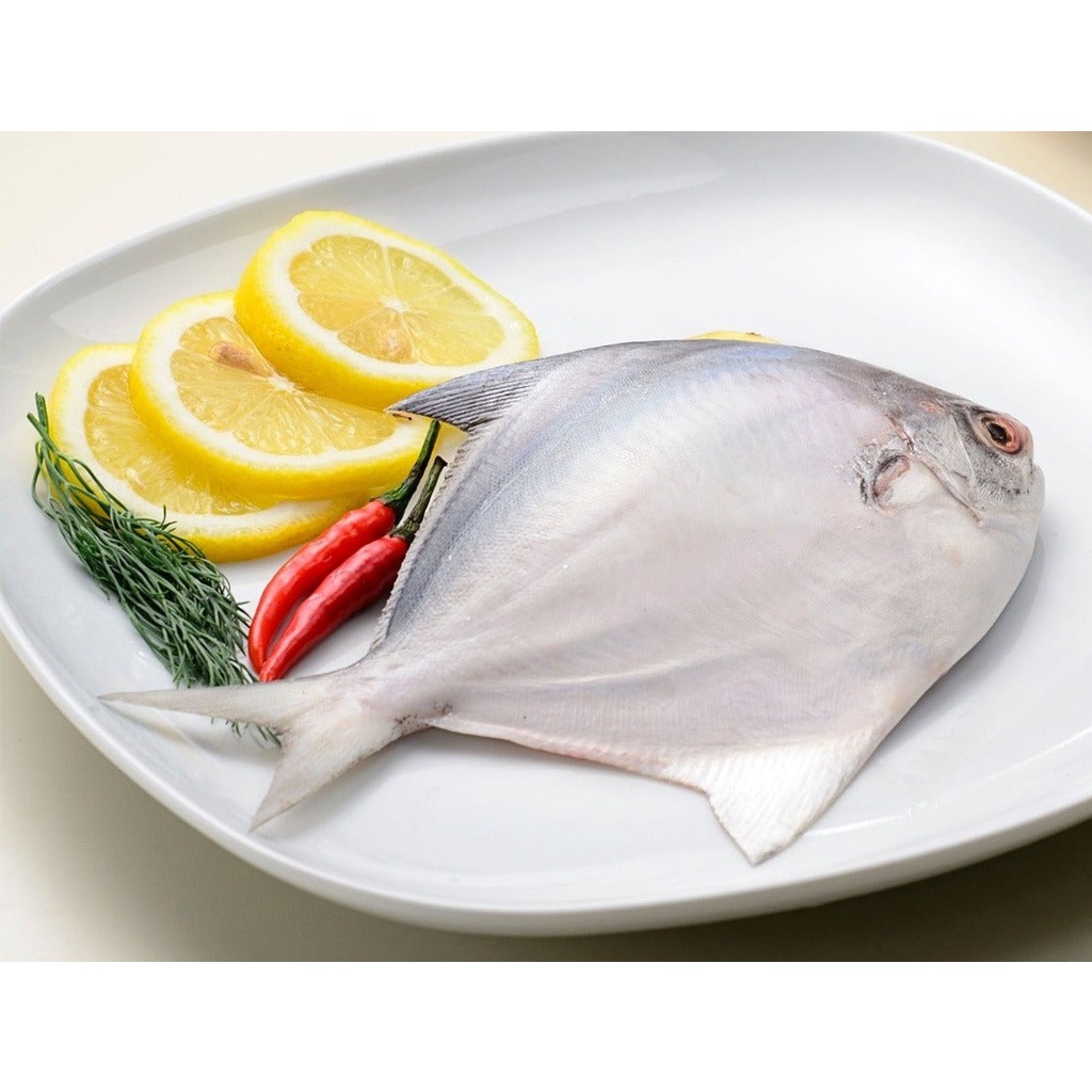【川品】藍帶白鯧魚 已二去免沾手 真空包裝 解凍可以立即料理