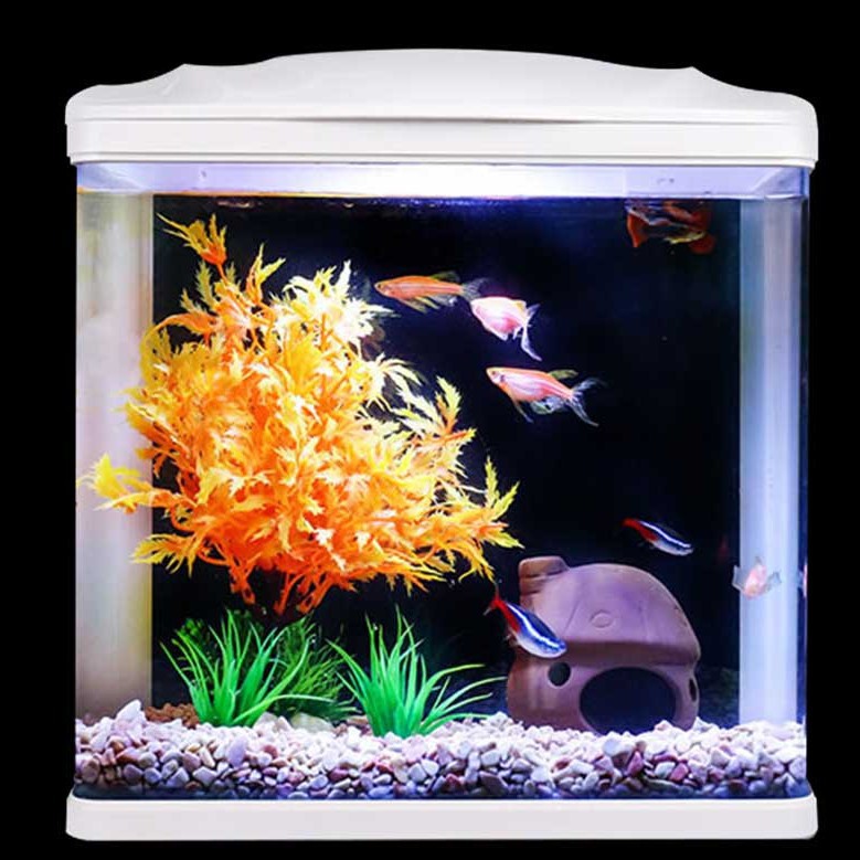 現貨 迷你魚缸小魚缸小型桌面水族箱金魚缸玻璃生免換水家用缸造景魚缸帶水泵魚缸 1317 蝦皮購物