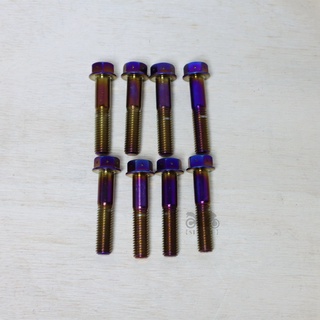 【ST】ZOO 10x50/10*50 1.5牙(鍍鈦螺絲) 白鐵內外六角/白鐵螺絲/內外六角 Brembo輻射卡鉗