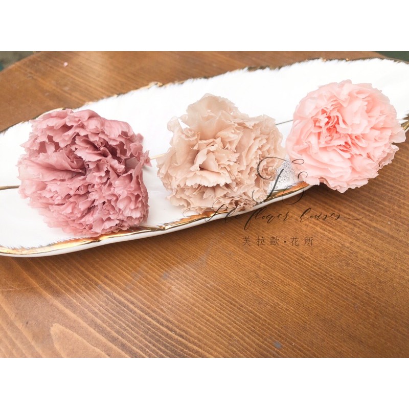 永生花 康乃馨 母親節 花束 盆花 手作 5月 蝦皮購物