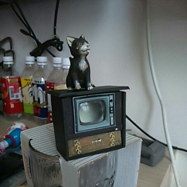 貓 電視 扭蛋