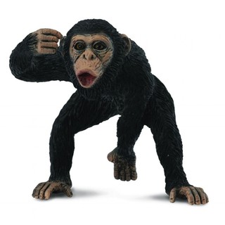 COLLECTA動物模型 - 黑猩猩 < JOYBUS >