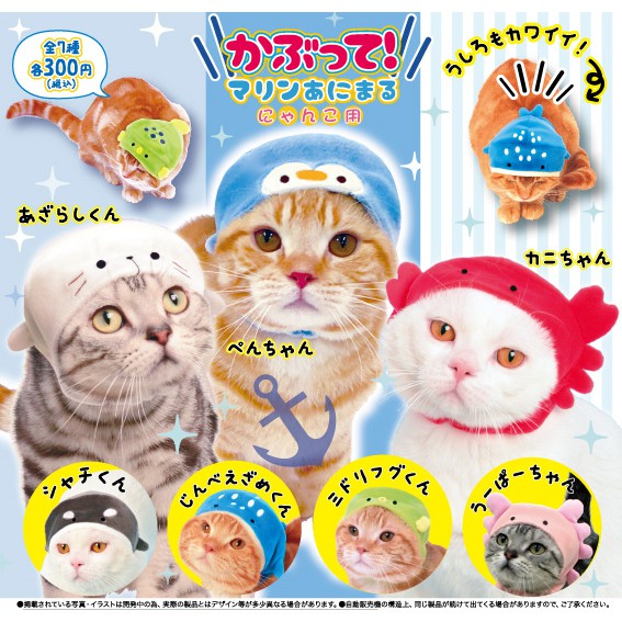 Eliy's Toy Shop🌸 【現貨】 Yell 貓咪頭巾 海洋生物裝扮 轉蛋 扭蛋 一套7款