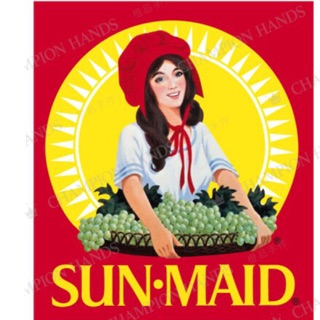 美國 SunMaid 聖美多葡萄乾 14g