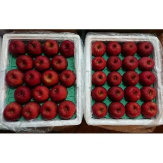 日本青森蘋果 蜜富士 特選 28顆、32顆、36顆、40顆（兩層）