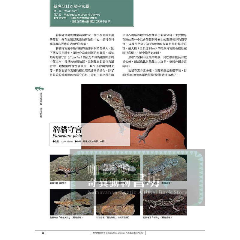 守宮夥伴超圖鑑 零基礎飼養入門 日翻中 蝦皮購物