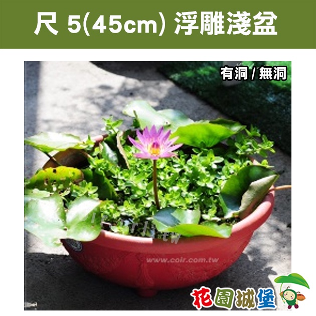 現貨 尺5 45cm 浮雕淺盆無洞有洞花盆水生植物荷花蓮花台灣製 花園城堡 蝦皮購物