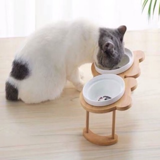 貓碗高腳貓咪餵食碗保護頸椎斜口狗碗可愛貓盆雙碗陶瓷飲水寵物