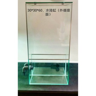 30*30*60 臺北 雨林缸 生態缸 水陸缸 箭毒蛙缸 苔癬缸 訂製缸 兩棲缸