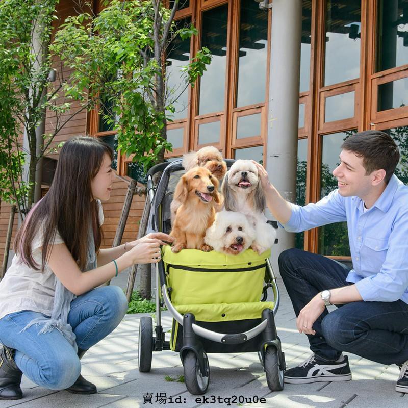 狗台灣犬 Ptt Dcard討論與高評價網拍商品 21年10月 飛比價格