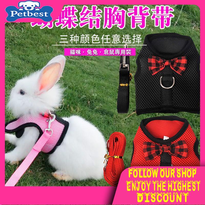 【Dearpet】幼兔牽引繩 胸背帶 雪貂松鼠天竺鼠 小寵牽繩 寵物小寵牽引繩 兔子衣服