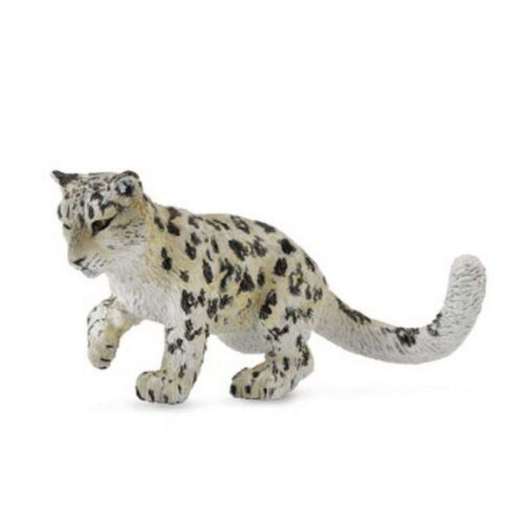 COLLECTA動物模型 - 小雲豹