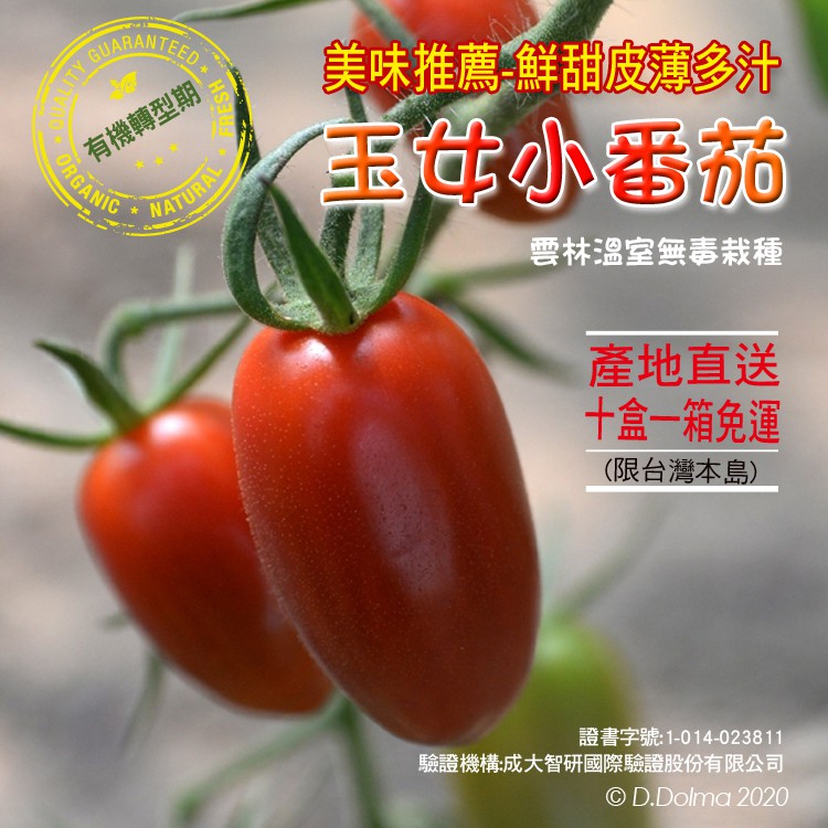 玉女小蕃茄 A級 有機轉型期 十盒一箱 一台斤 盒 雲林溫室無毒裁種 蝦皮購物