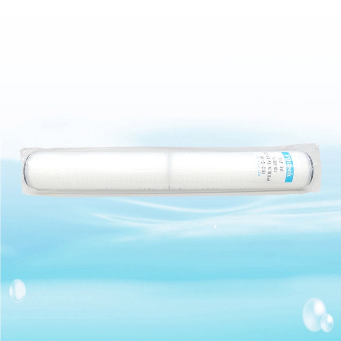 【水易購淨水】Filtteck/0.2微米/絕對濾心/20英吋/濾菌效果99.999%