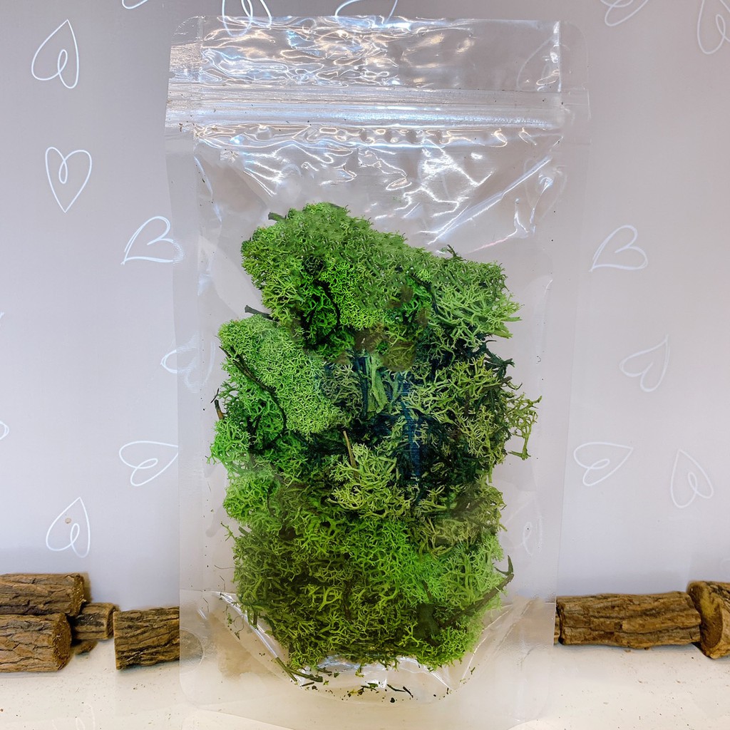 乾燥苔蘚的價格推薦 21年11月 比價比個夠biggo