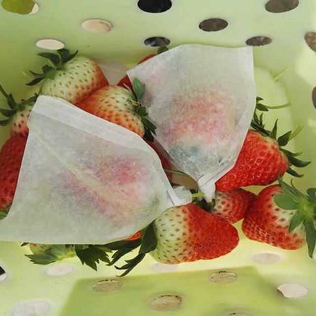 草莓 無花果 100只 水果套袋   防水 防蟲  枇杷 櫻桃