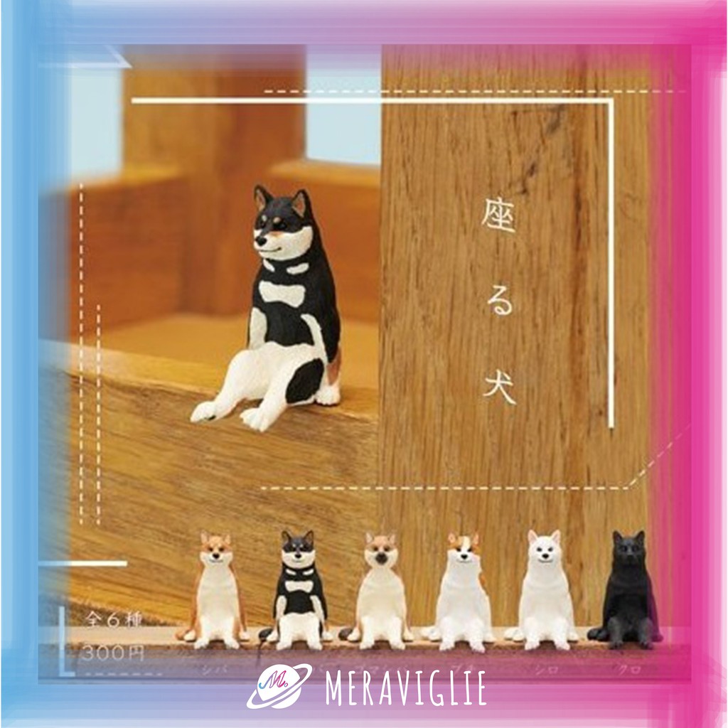 M M小舖 現貨 Kitan 轉蛋扭蛋不可思議動物p2 坐姿犬狗坐下坐著擺飾裝飾全6款 蝦皮購物