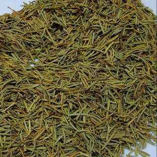 {香料地圖} 迷迭香 迷迭香粉純粉 100g
