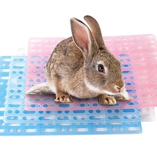 【CARNO 卡諾】小動物健康踏板(不挑色)│腳踏墊 兔用健康踏板 寵物墊 墊片 保潔墊 踏板 保護腳腳