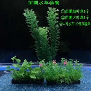 爆卖热销 適合長30cm 80cm魚缸仿真水草松樹城堡懶人造景套餐假山石小擺件 蝦皮購物