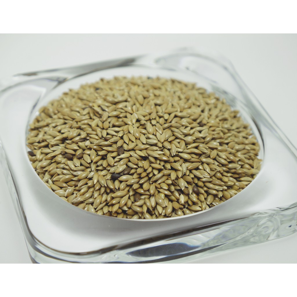 鸚兒園精選穀物 雀黍 Canary Seed 蝦皮購物