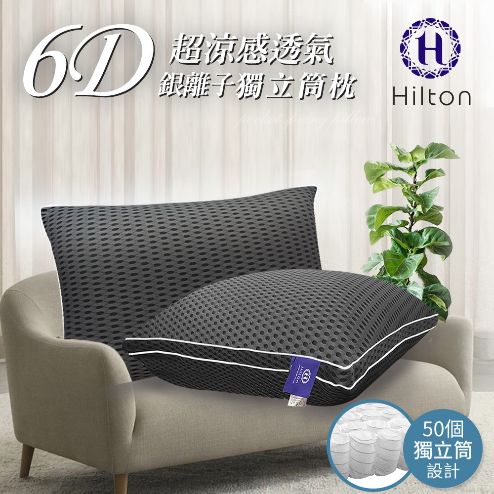 【Hilton 希爾頓】 6D酷涼透氣銀離子抑菌獨立筒枕/鐵灰(B0109-A)