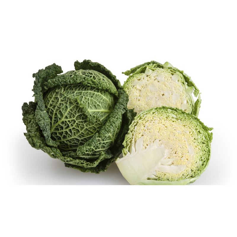 皺葉高麗菜 完美品系 種子 約100顆 蝦皮購物