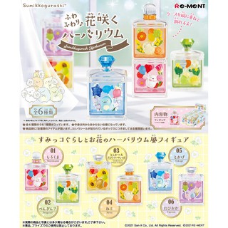 [現貨特價] Re-ment 角落生物 花朵標本瓶 瓶中世界 白熊 企鵝 豬排炸蝦 貓咪 假蜥蜴 盒玩 食玩