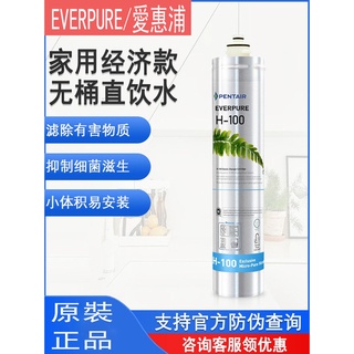 美國進口濱特爾 EVERPURE愛惠浦 主濾芯H-100C H-104淨水器EV961116芯子