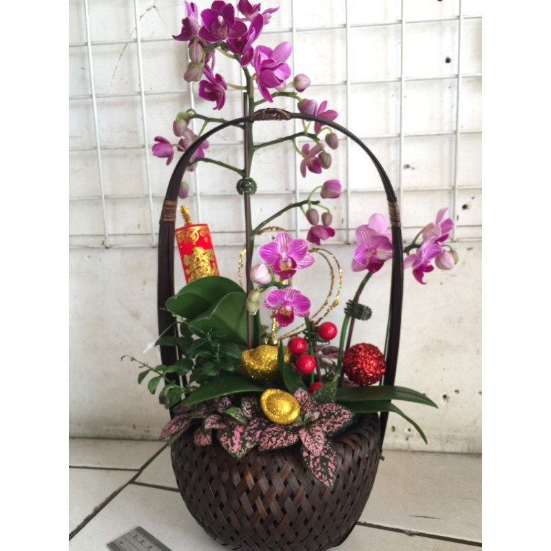 蘭花竹籃組盆 須自取 蝦皮購物