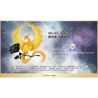 陽光夏 新鮮咖啡豆 （淺中焙)/ 哥斯大黎加 火鳳凰莊園 黑玫瑰