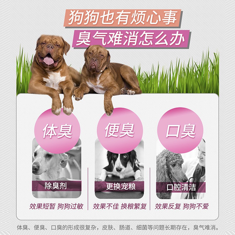 熱銷熱賣信元發育寶除臭片狗狗犬用用泰迪金毛法斗寵物身體除臭口腔除臭片特價除 蝦皮購物