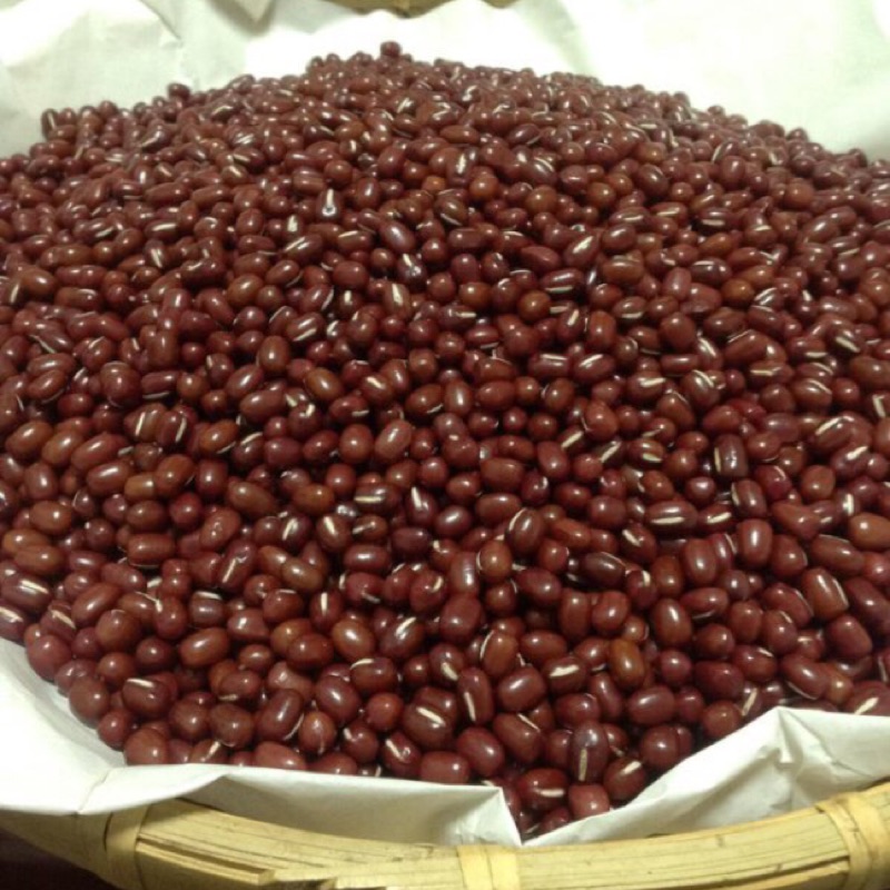 萬丹紅豆 含運一袋50斤 9號紅豆