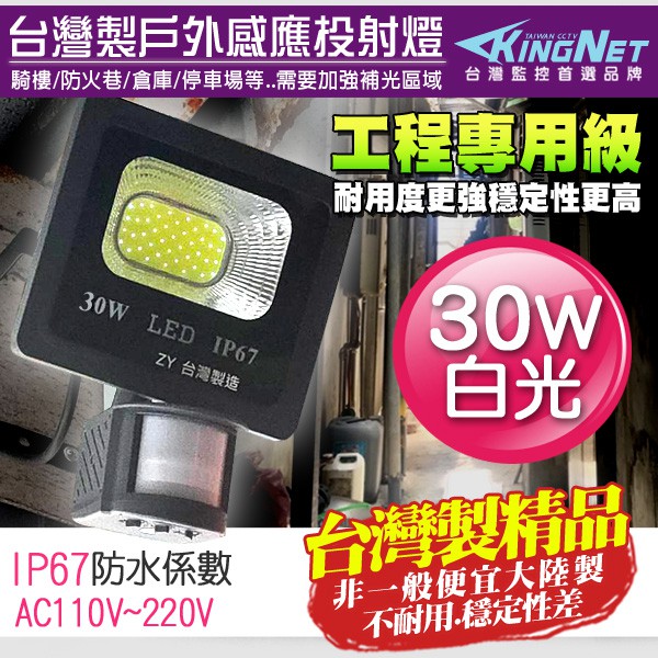 監視器 紅外線感應燈 白光 工程級 30W 全電壓 照明 防水防塵 IP67 燈具 台灣製造 監控耐用 LED 投射燈