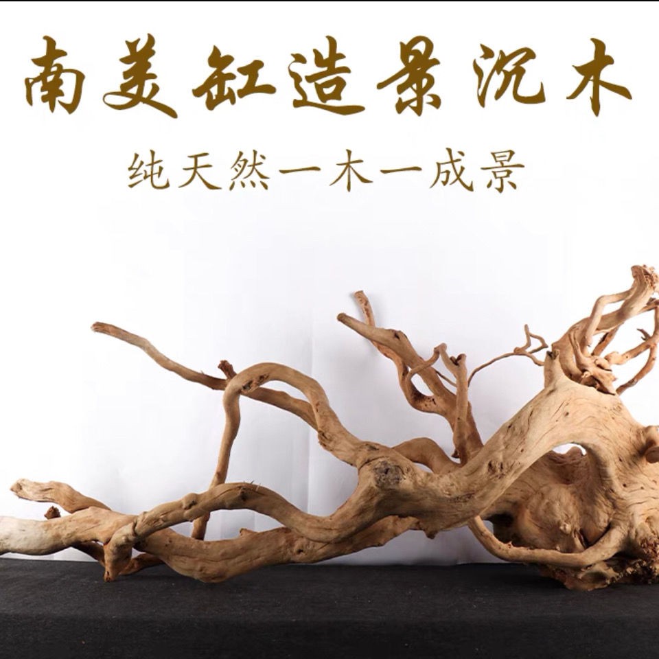 造景木 優惠推薦 21年7月 蝦皮購物台灣