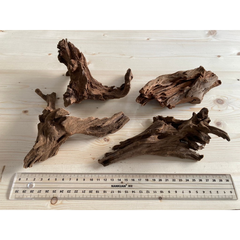 8 10cm小沉木 海皮水族 沉木流木造景素材水草缸魚缸 蝦皮購物
