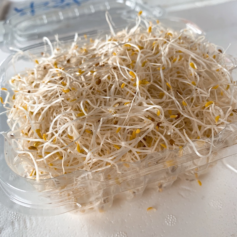 苜蓿芽盒裝 蝦皮購物