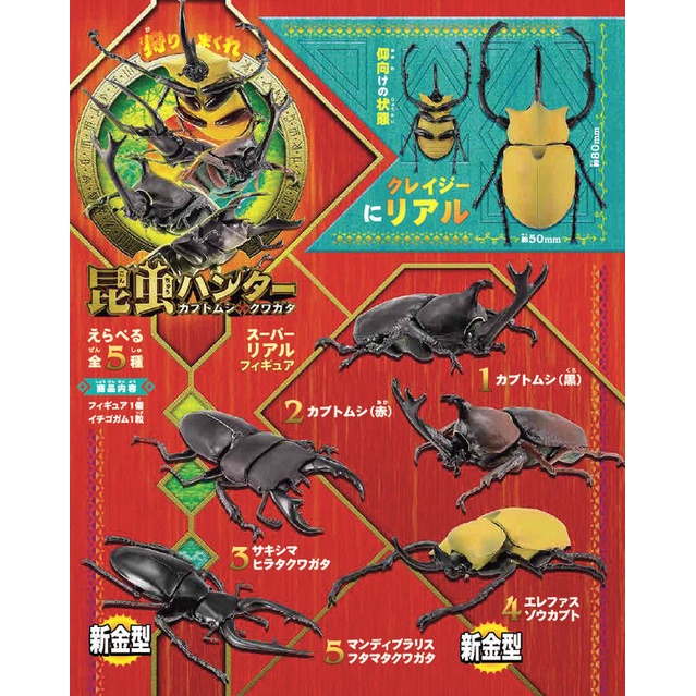 兩津[現貨]F-TOYS正版 昆蟲獵人甲蟲3 甲蟲王者 甲蟲系列 甲蟲 鍬形蟲 獨角仙 生物教材 玩具 模型 盒玩 食玩