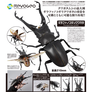 《夏本舖》日版 海洋堂 REVO GEO 5 長頸鹿鋸 鍬形蟲 昆蟲 節肢動物 翅膀 山口式 輪轉 生物 模型 可動