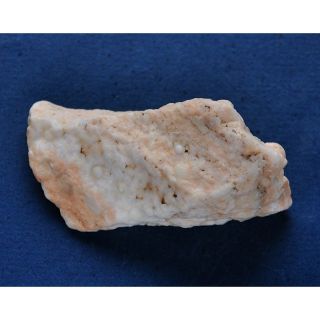 《※精品水晶※》能量至寶 - 滿滿舍利的龍宮舍利原礦 R200312