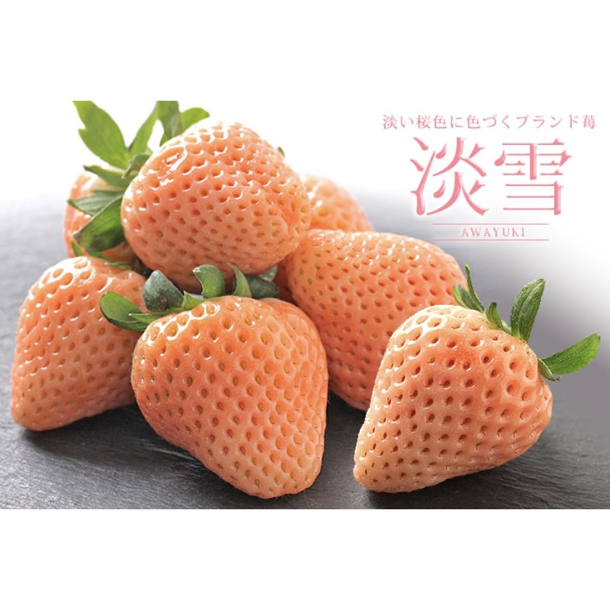 🔥現貨🌺🍓日本淡雪草莓🐨🍓熊本草莓 送禮 滿額免運【童夢小鋪】