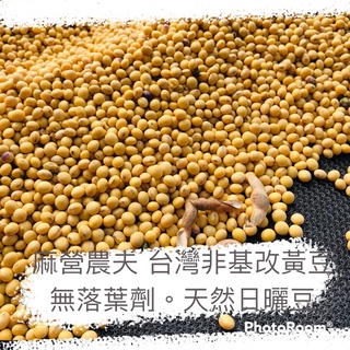台灣非基改黃豆 高雄選10號 國產黃豆 2公斤 真空包 溯源農糧 小農自產自銷 麻營農夫
