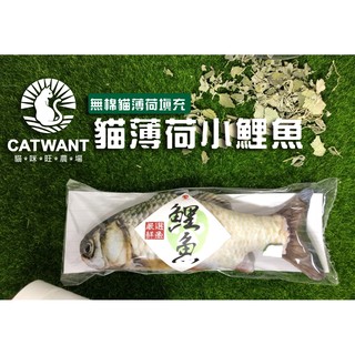 【貓咪旺農場】100%貓薄荷小鯉魚 填充魚 海鮮 seafood 貓草包 貓玩具 貓草魚