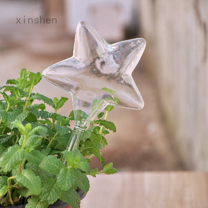 鑫申園林植物花卉自動給水器自動澆水器透明玻璃給水器鳥形澆水器多肉 蝦皮購物