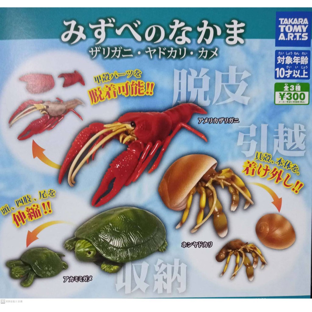 【日玩獵人】T-arst (轉蛋)水邊生物公仔-新甲殼篇 寄居蟹 烏龜 螯蝦 全3種 整套販售