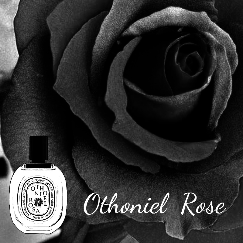 絕版香  奧索尼爾玫瑰  蒂普提克  Diptyque Othoniel Rosa  每單限購一份