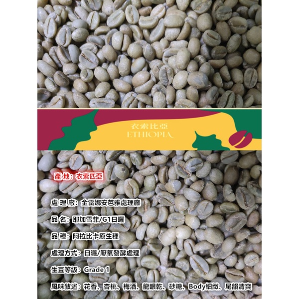 新鮮貨 衣索匹亞/耶加雪菲G1/金雷娜處理廠/日曬/精品咖啡生豆