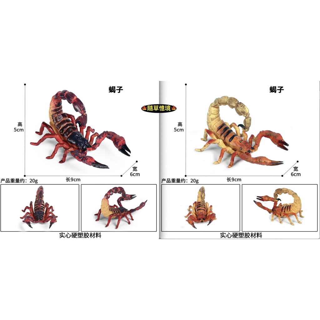 🍁（2款稀有）巨蠍 蠍子 毒蠍 蠍 昆蟲 甲殼類 仿真動物模型 套裝 野生動物 兒童玩具 益智 spg 隨草憶境