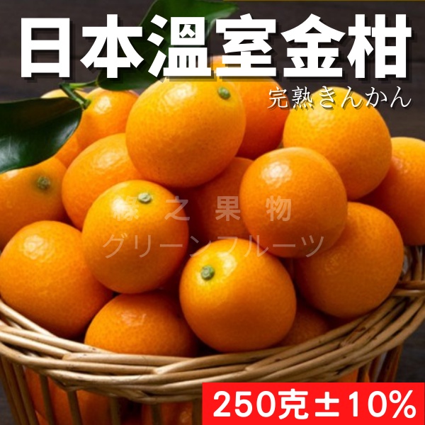 現貨 綠之果物 金桔鹿兒島金桔日本金桔鹿兒島溫室金桔水果禮盒日本金柑金棗 蝦皮購物